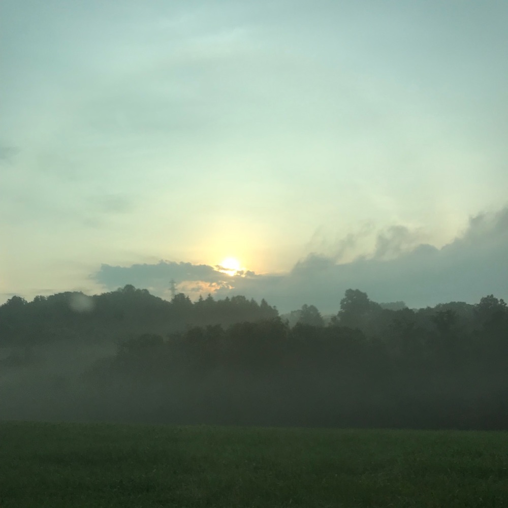 Meet your Posher, Taya